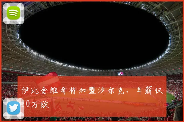 伊比舍维奇将加盟沙尔克，年薪仅10万欧