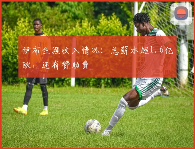 伊布生涯收入情况：总薪水超1.6亿欧，还有赞助费