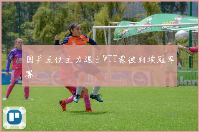 国乒五位主力退出WTT蒙彼利埃冠军赛