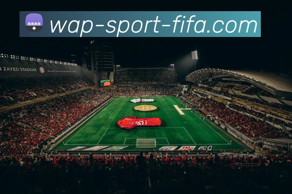 世界杯移动端网站APP 高清赛事图